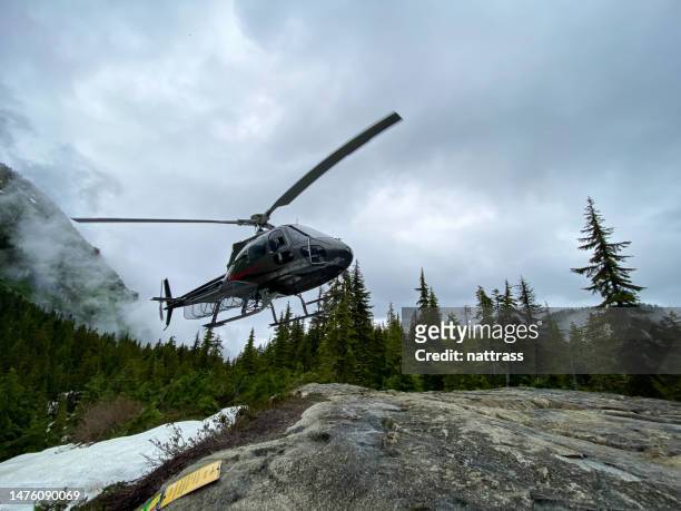 atterraggio dell'elicottero in una foresta - helikopter foto e immagini stock