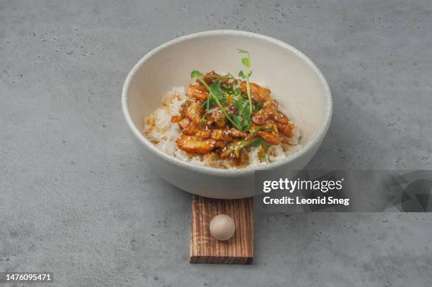 teriyaki chicken with rice on gray background - soya bean sprout stock pictures, royalty-free photos & images