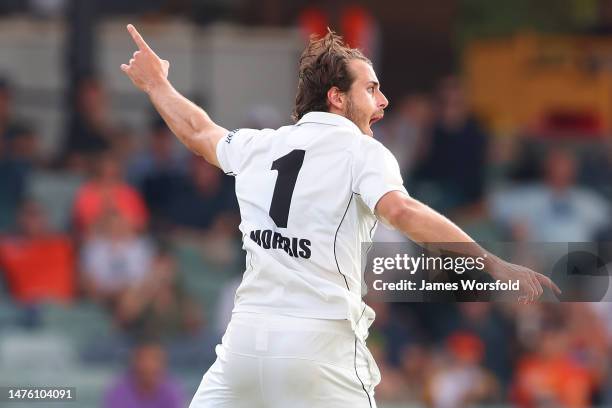 Lance Morris of Western Australia appeals to the umpire during the Sheffield Shield Final match between Western Australia and Victoria at WACA, on...