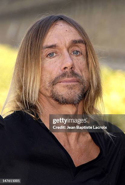 Iggy Pop during Iggy Pop Receiving the "Arts and Letters Medal" - Photocall - Paris at Ministry of Culture in Paris, France.