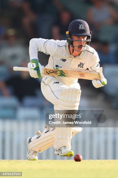 Sam Harper of Victoria yells out after playing his shot during the Sheffield Shield Final match between Western Australia and Victoria at WACA, on...