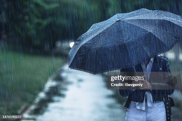 summer rain. raindrops. bad weather. depression. - stortregen stockfoto's en -beelden