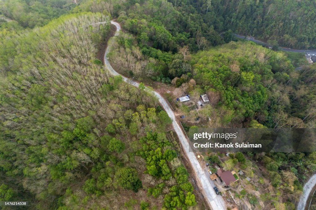 Intersect Mountain Ridge High Angle View Of A Mountain Ridge Road Through A Forest High-Res ...
