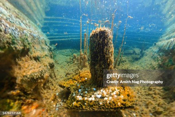 underwater pic of the gulu guli shankara temple’s underwater shivalinga - shiva lingam stock pictures, royalty-free photos & images