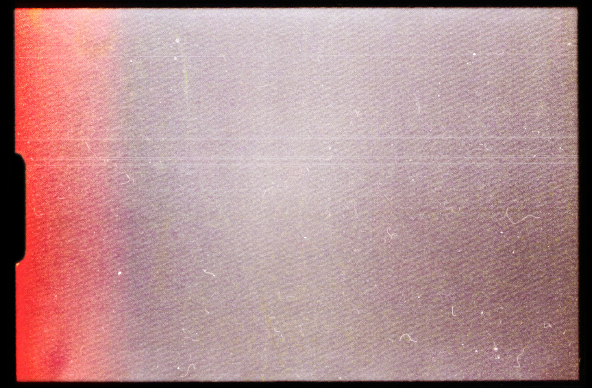 analog cameras