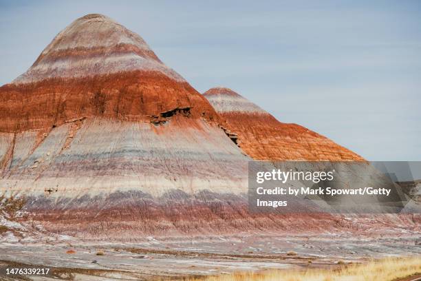 petrified forest national park - 化石の森国立公園 ストックフォトと画像