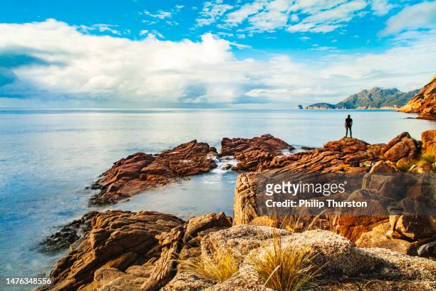junger mann, der am meer steht und in goldenes morgenlicht blickt - australia summer reflection stock-fotos und bilder