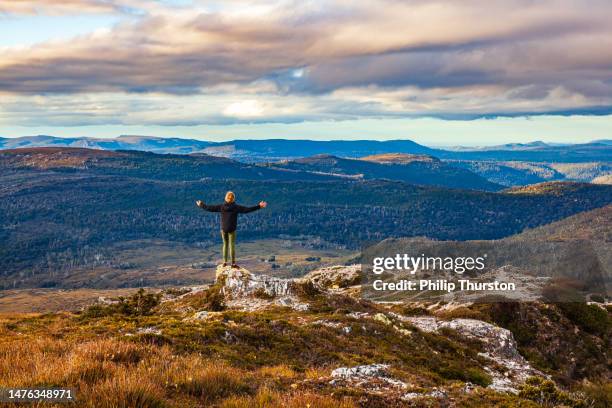 young man hiking in cradle mountain national park landscape scene in golden morning light - cradle mountain stock pictures, royalty-free photos & images