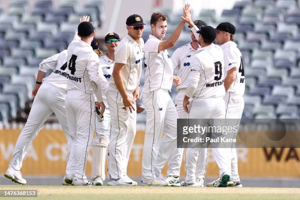 Matthew Kelly of Western Australia celebrates the wicket ofMitch Perry of Victoria during the Sheffield Shield Final match between Western Australia...