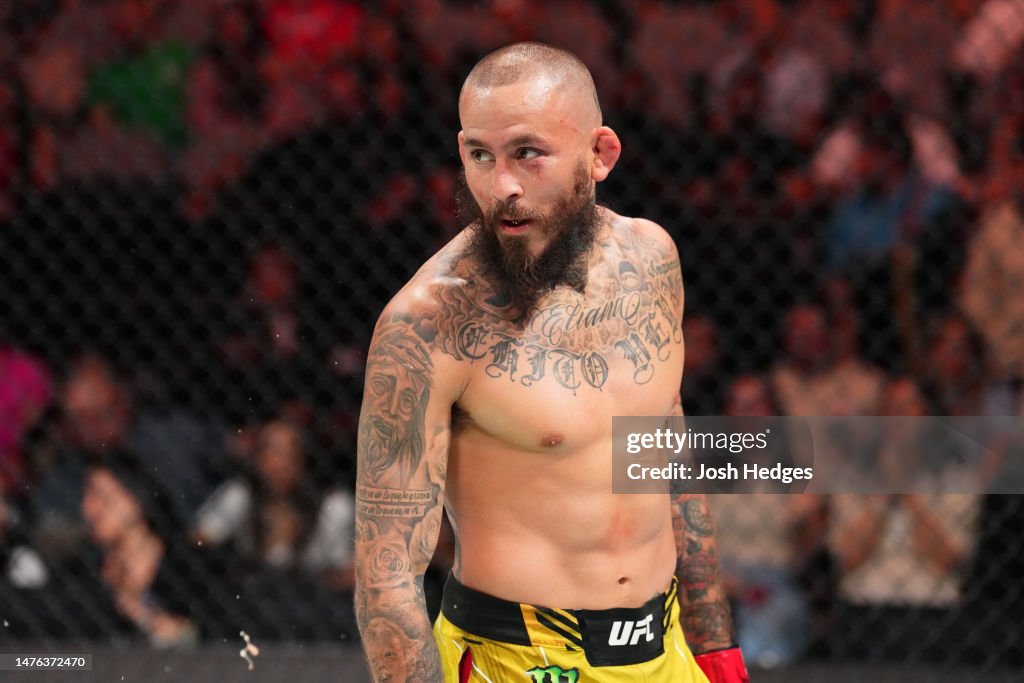 UFC Fight Night: Vera v Sandhagen