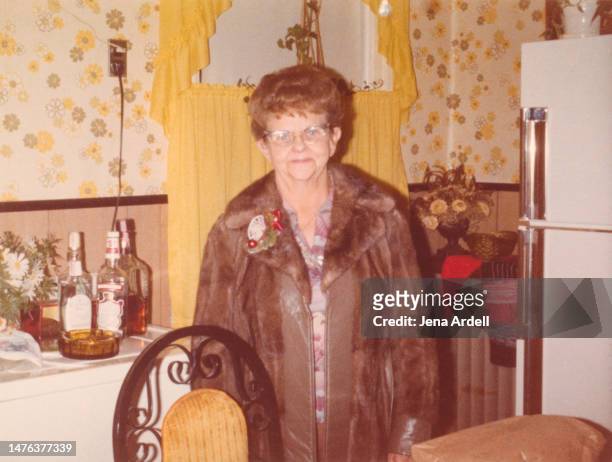 vintage mother in kitchen, vintage grandmother wearing fur coat, candid family photo 1970s - símbolo de status imagens e fotografias de stock
