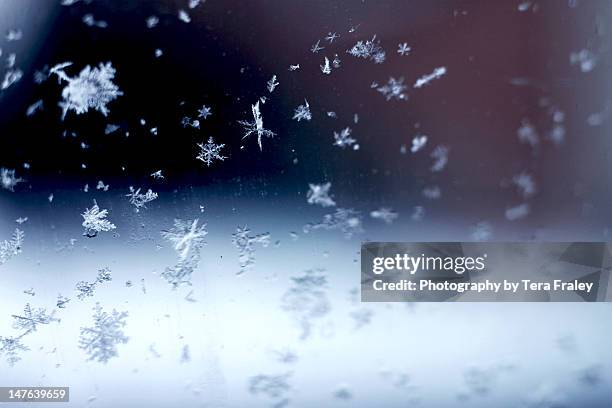 snowflake falling - snow flake stock-fotos und bilder