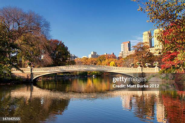 bow bridge, central park, new york - central park water stock pictures, royalty-free photos & images