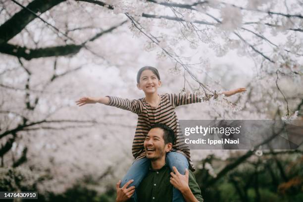 father giving shoulder ride to daughter under cherry blossoms - hanami stock pictures, royalty-free photos & images