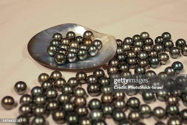tahitian pearls aka black pearls - perla negra fotografías e imágenes de stock