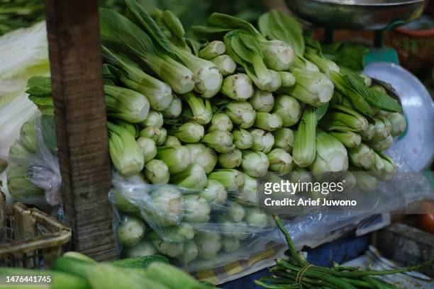 bok coy - chinese cabbage imagens e fotografias de stock