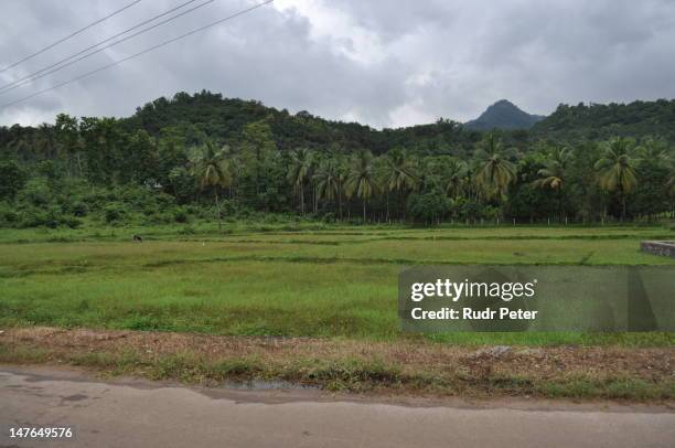 11 Nilambur Stock Photos, HighRes Pictures, and Images Getty Images
