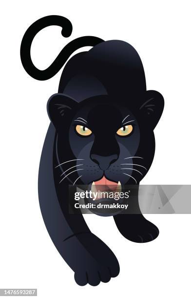 black panther - black panthers stock illustrations