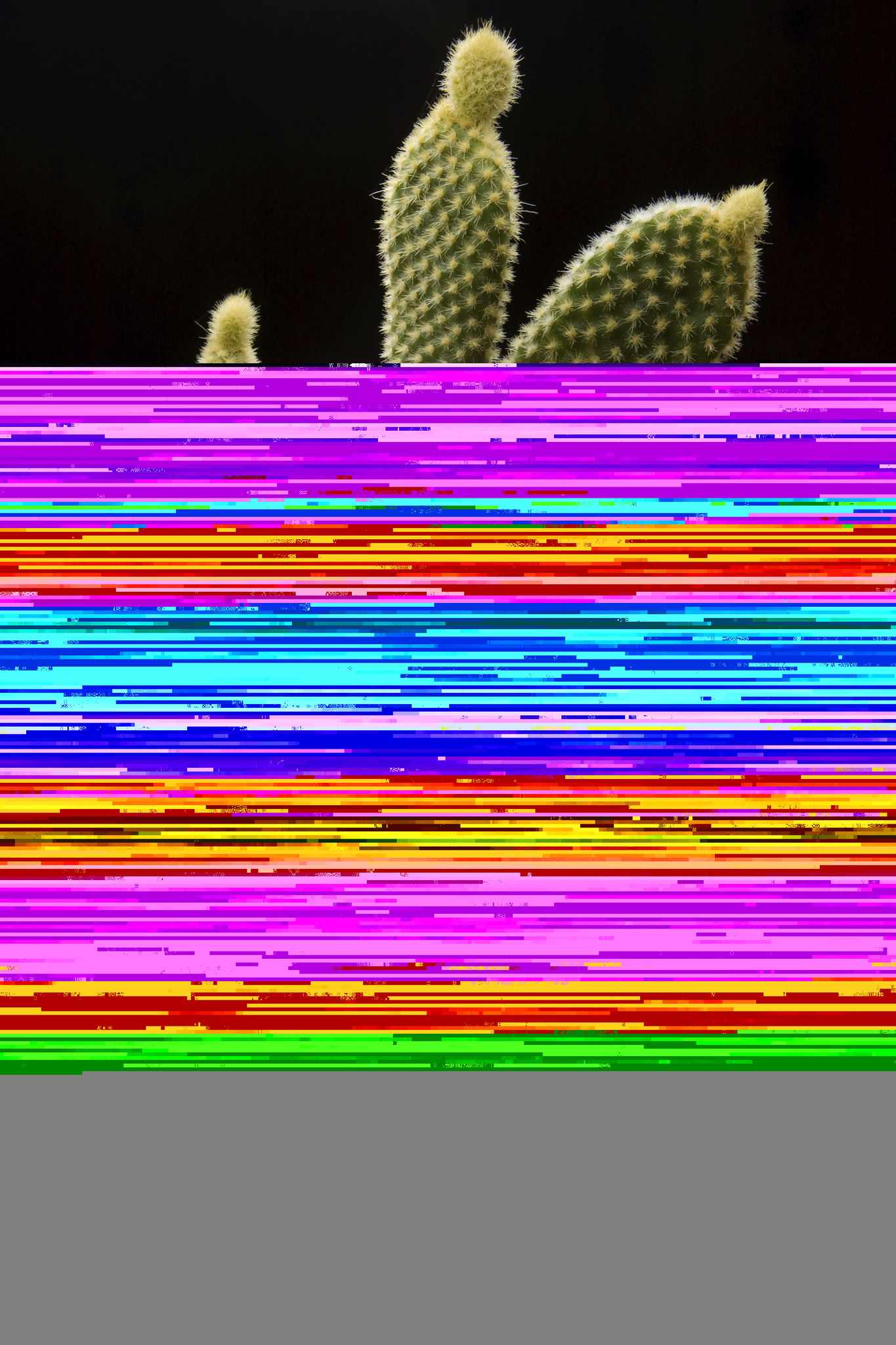 Englewood restaurant