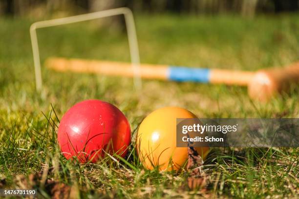 a red and a yellow croquet ball next to each other in grass - mallet hand tool foto e immagini stock