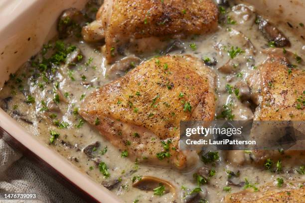 poulet stroganoff - sauce à base de crème photos et images de collection