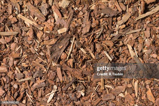 mulch wood bark material - truciolo foto e immagini stock