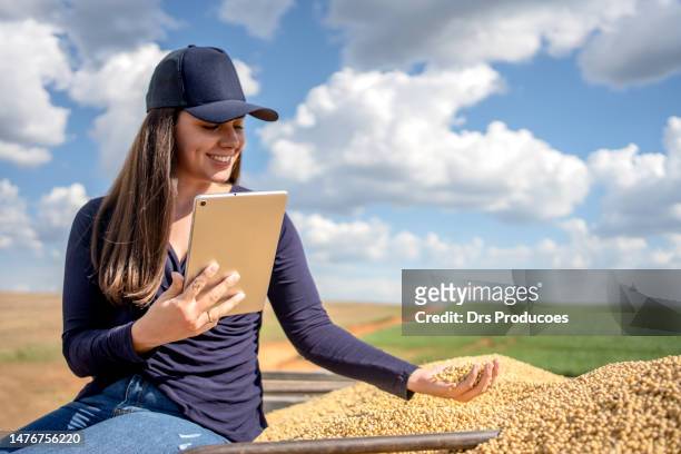 farmer checking soybeans - young agronomist stock pictures, royalty-free photos & images