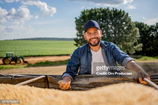 agriculteur vérifiant le soja - soybean harvest photos et images de collection