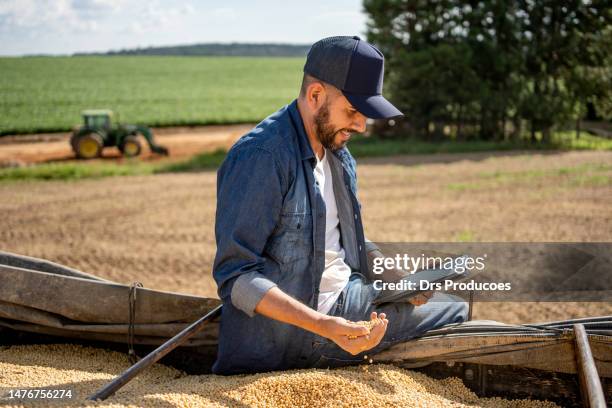 landwirt überprüft sojabohnen - soybean harvest stock-fotos und bilder