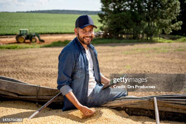 farmer checking soybeans - agronomist stock pictures, royalty-free photos & images