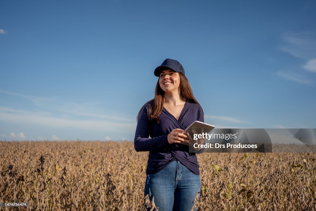 Agricultora fêmea verificando soja