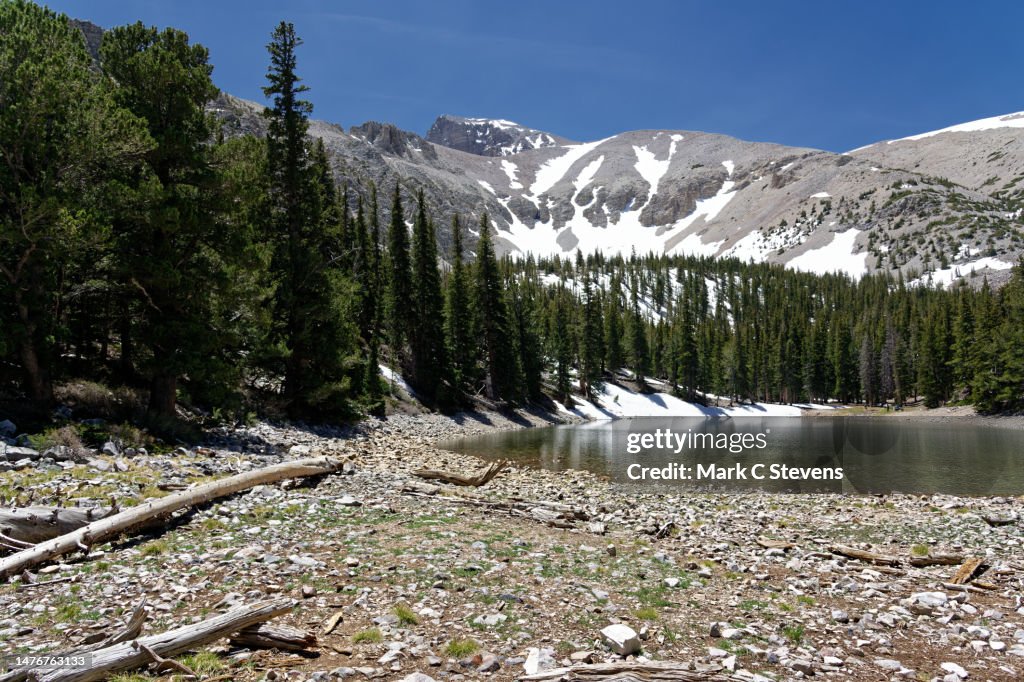 Natural Sounds Thrive in Silent Places