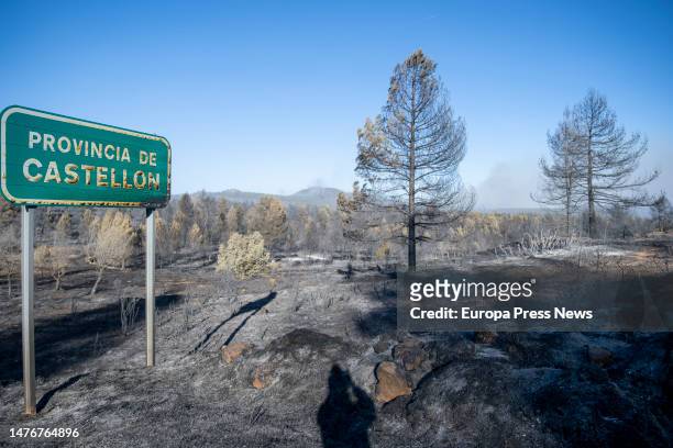 Border between the provinces of Castellon and Teruel, on 26 March, 2023 in Castellon, Community of Valencia, Spain. The perimeter of the fire...