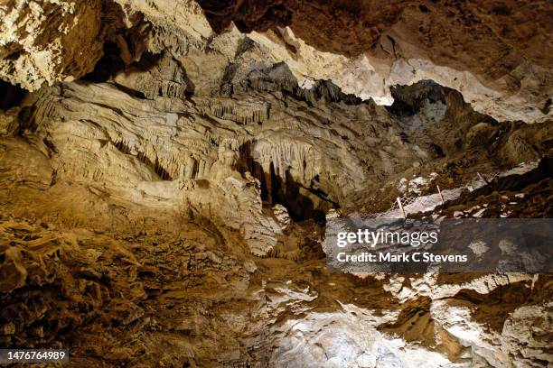gothic palace room in lehman cave - lehman caves nevada stock pictures, royalty-free photos & images
