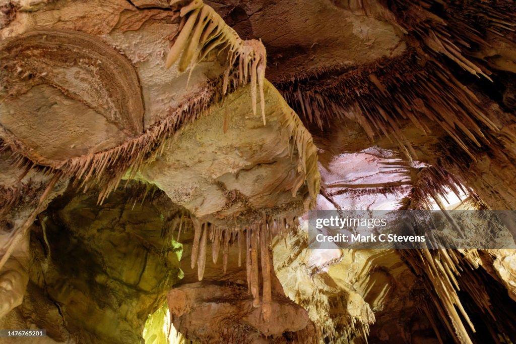 Celebrating the Heritage of Our National Parks in Great Basin National Park