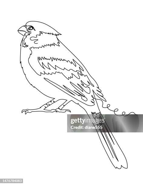 stockillustraties, clipart, cartoons en iconen met continuous line drawing of a cardinal - bird transparent