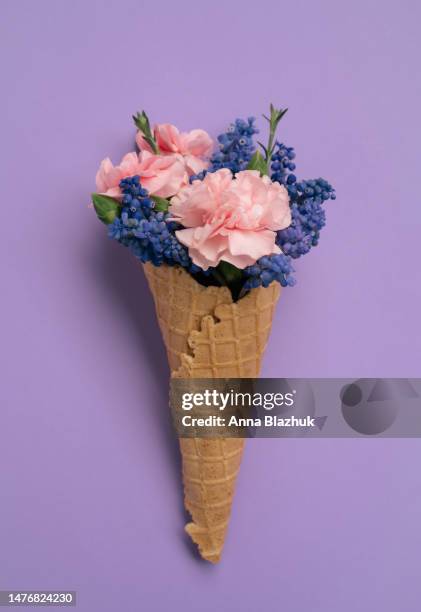 pink flowers of carnation and blue flowers of hyacinth in waffle ice cream cone over purple background - flower arrangement carnation ストックフォトと画像