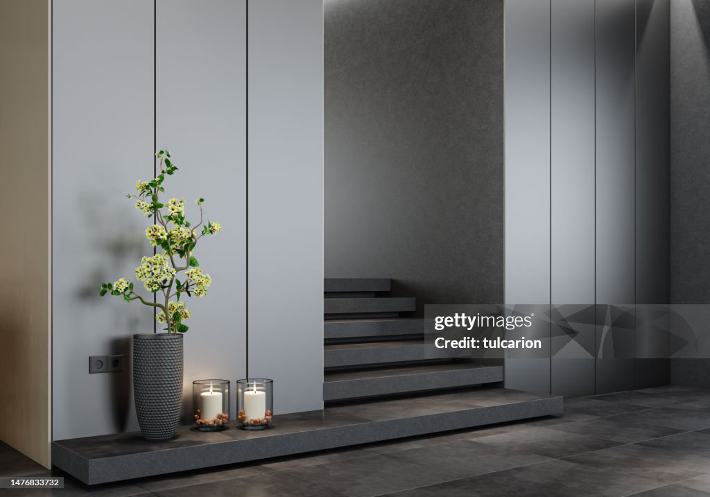Modern minimalist interior entrance with dark stone stairs.
