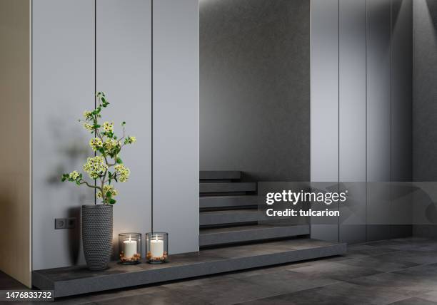Modern Minimalist Interior Entrance With Dark Stone Stairs High-Res Stock Photo