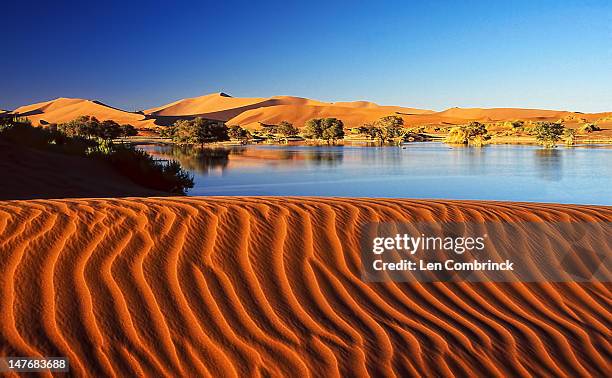 sossusvlei - repubblica della namibia foto e immagini stock