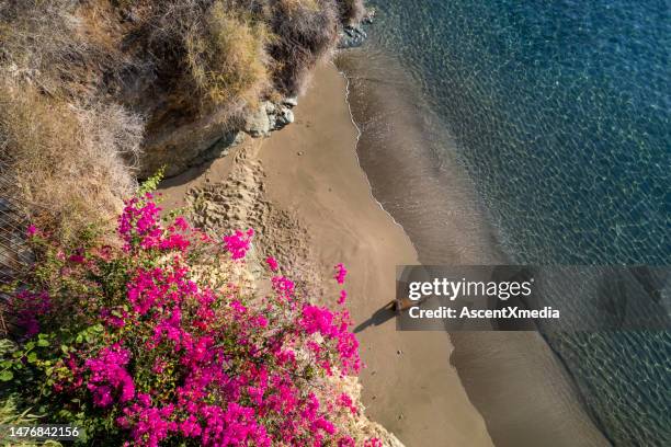 woman on a stunning beach in agia pelagia, crete - herakleion stock pictures, royalty-free photos & images