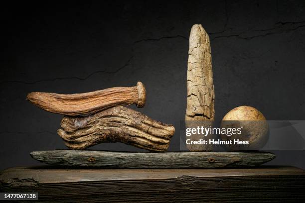 still life with driftwood and wooden decorations - driftwood bildbanksfoton och bilder