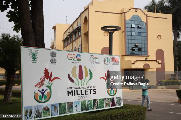 Considered the wonder crops, millets are farmer friendly, healthy for humans, climate resilient, water prudent crops but little research has been...