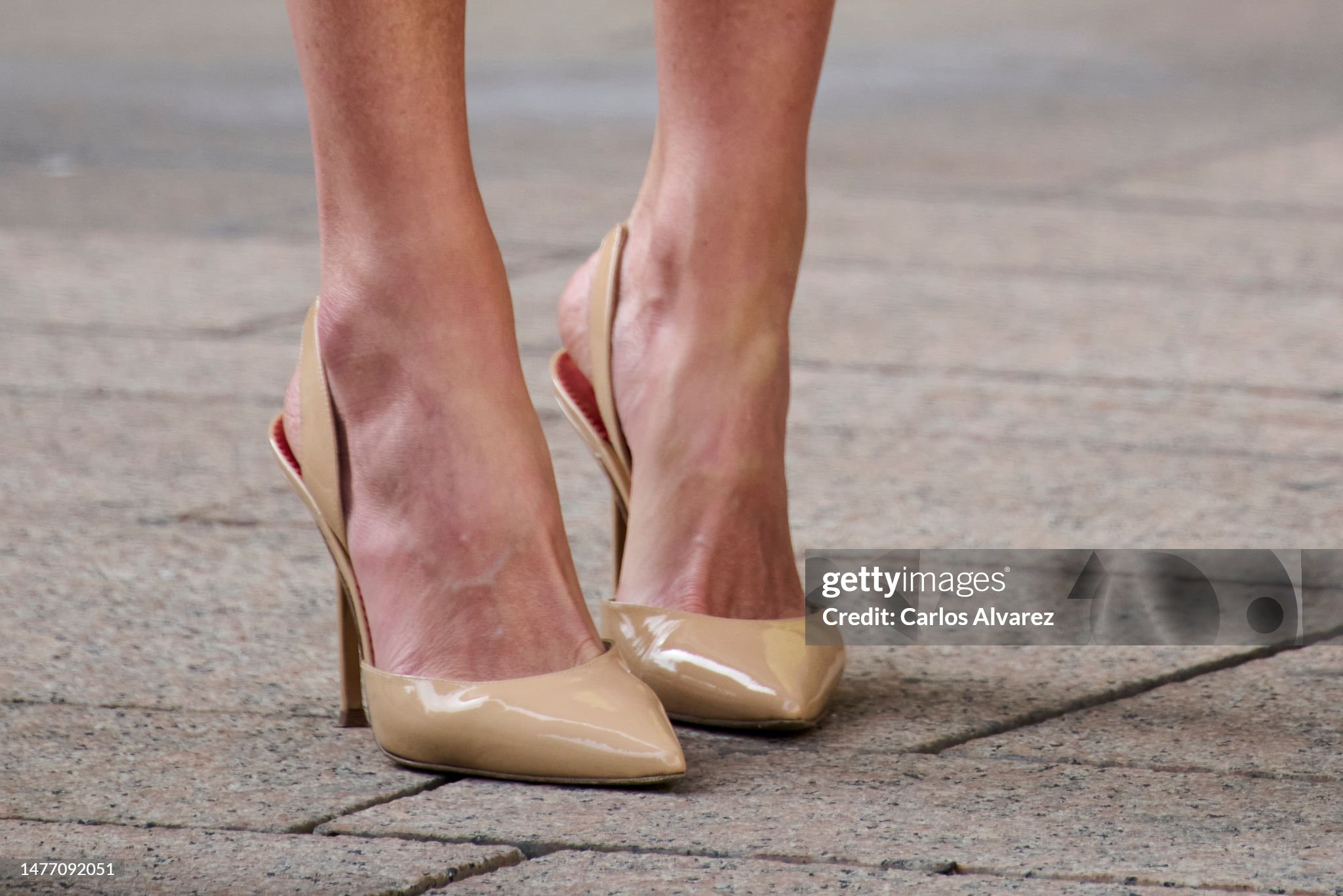queen-letizia-of-spain-shoes-detail-attends-the-ix-international-congress-of-the-spanish.jpg