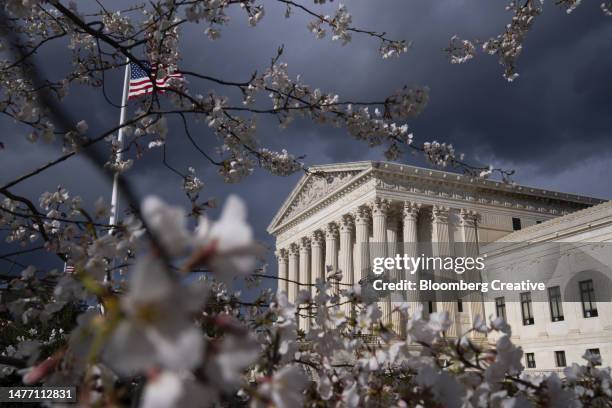 cherry blossom by the us supreme court - us supreme court fotografías e imágenes de stock