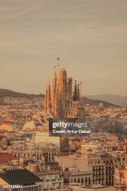 the sagrada familia emerging from the barcelona city with the eixample neighborhood rooftops and golden light. - sagrada familia barcelona stock pictures, royalty-free photos & images