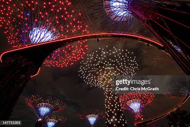 The Supertree Grove is illuminated during the Gardens by the Bay, Light and Sound show on July 2, 2012 in Singapore. The free nightly light and sound...