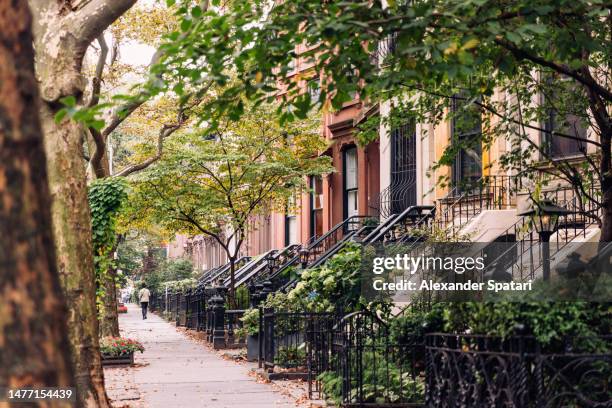 street in brooklyn with green summer trees, new york city, usa - urban community stock pictures, royalty-free photos & images