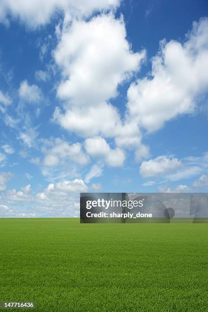 xxxl green grass field - iowa v nebraska stock pictures, royalty-free photos & images