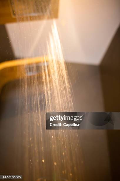 maison - hygiène - salle de bain - douche - salle de bain stock-fotos und bilder